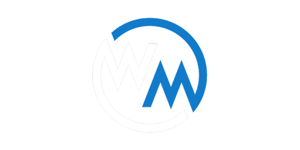 Visa icon
